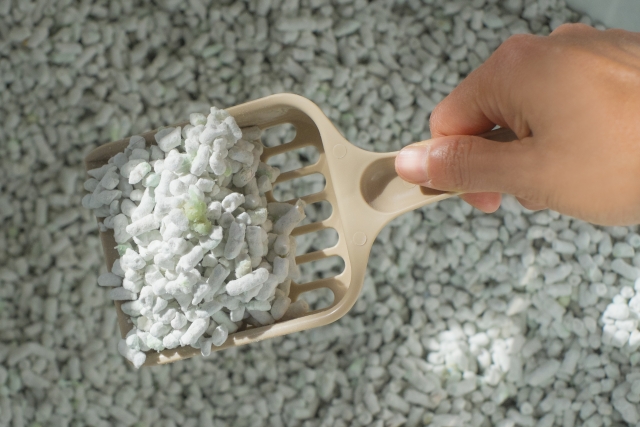 猫砂をスコップですくい、猫トイレの掃除をしているところ。